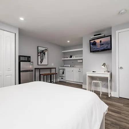 Shell On The Beach 107 - Renovated